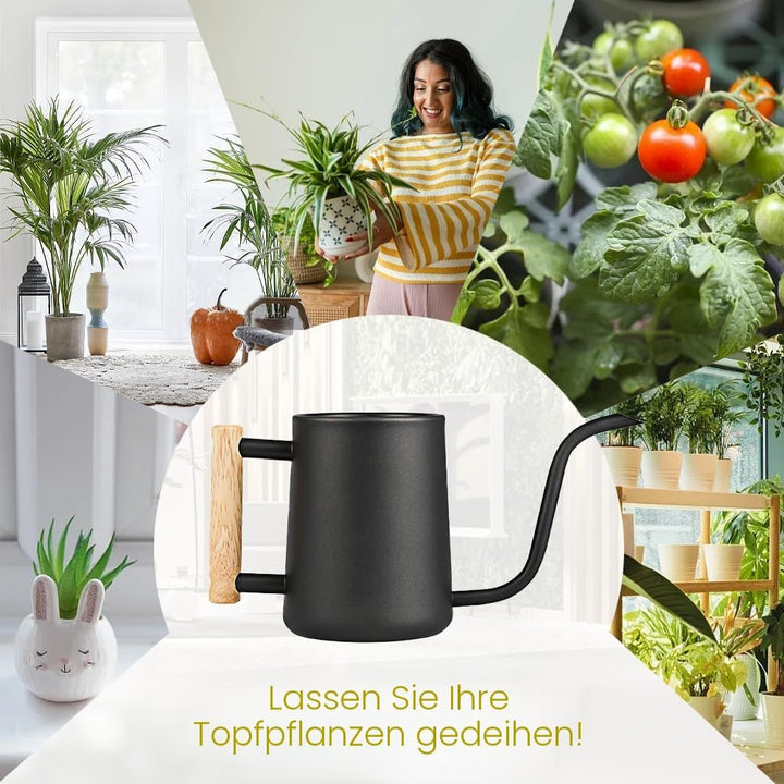 LPAMABA 1L Indoor Giesskanne Edelstahl Giesskanne Klein GiesskanneGiesskanne für Zimmerpflanzen Sukk