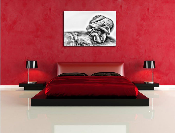Pixxprint kleine Schnecke / 100x70cm Leinwandbild bespannt auf Holzrahmen/Wandbild Kunstdruck Dekora
