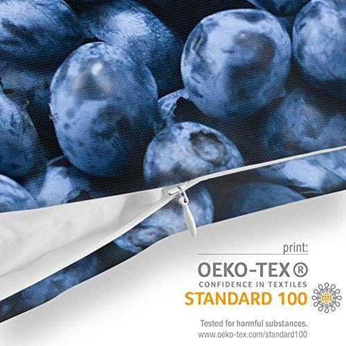 VOID Blaubeeren Kissenbezug Kissenhülle Sofakissen Kissen Deko Outdoor-Kissen Dekokissen, Kissen Grö