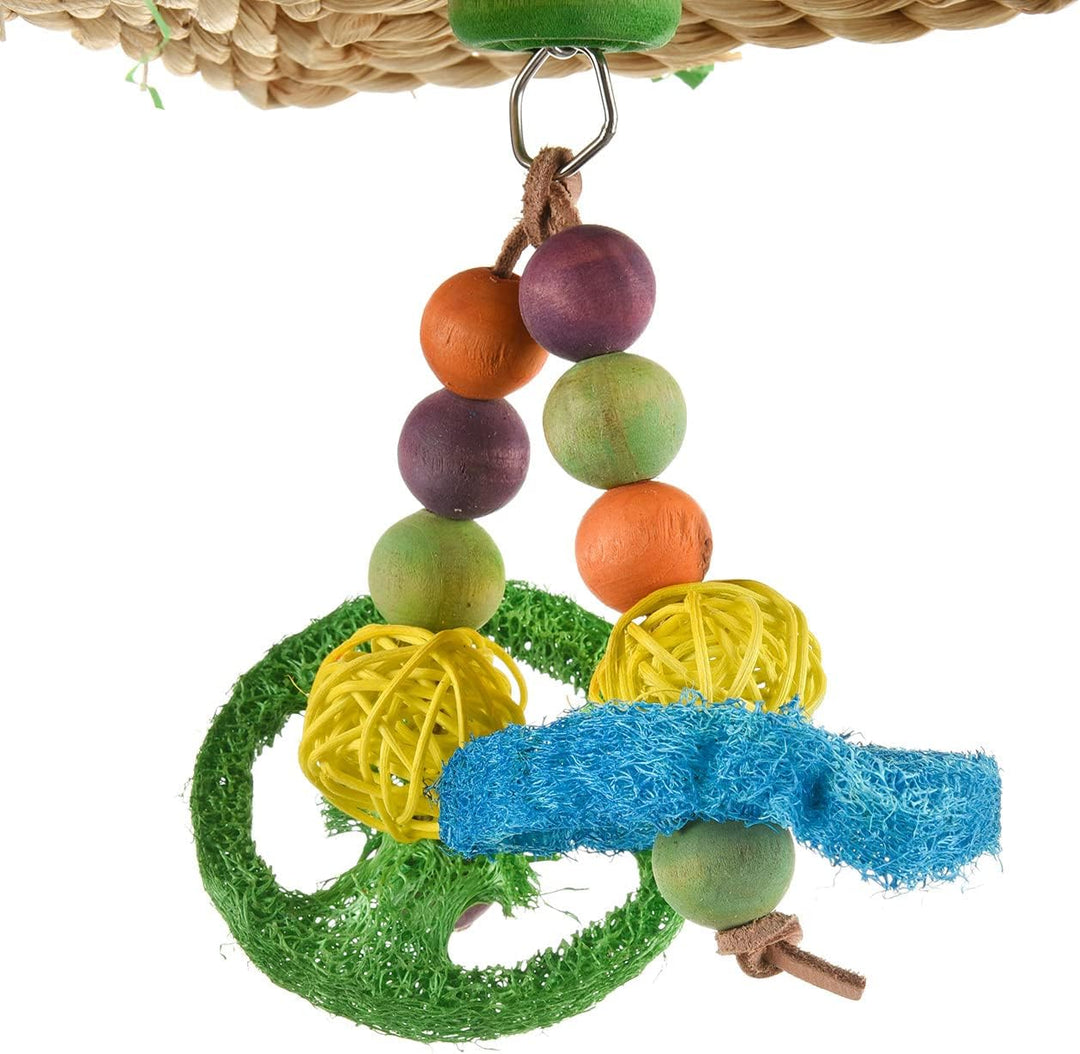 Wagner's | Color-Bell-Fun mit Edelstahl Kette, Grosssittich und Papageien Spielzeug