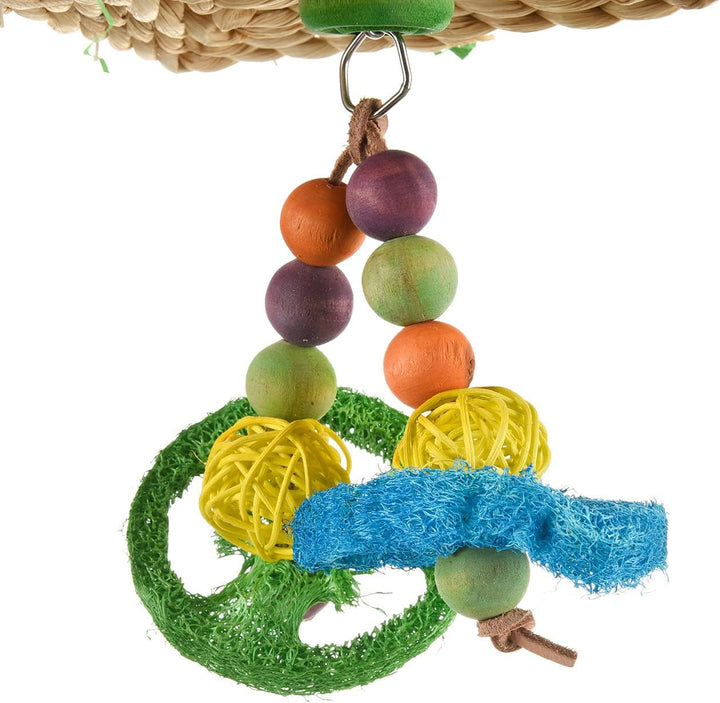 Wagner's | Color-Bell-Fun mit Edelstahl Kette, Grosssittich und Papageien Spielzeug