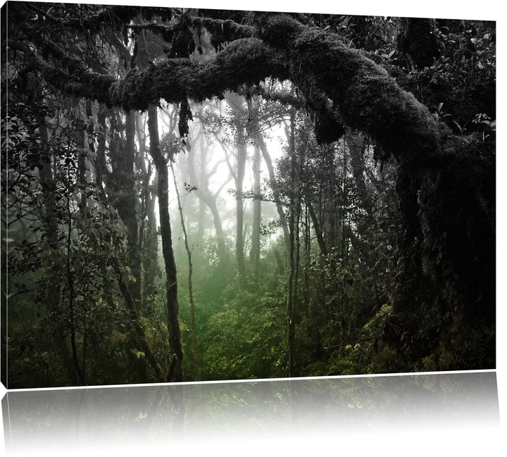 Regenwald in seiner ganzen Pracht schwarz/weiss Format: 100x70 auf Leinwand, XXL riesige Bilder fert