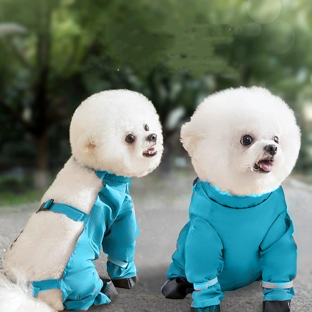 Hunderegenmantel Bauchschutz, Hundebodysuit Wasserdicht, Hunde Anti-Matsch Kleidung für Spaziergang,