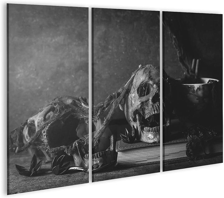 islandburner Bild auf Leinwand Totenkopf Stillleben Fotografie Schwarz Weiss Bilder Wandbilder Poste
