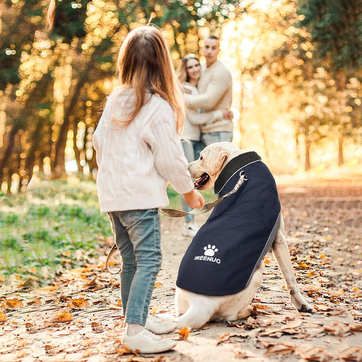 IREENUO Wasserdichter Hundemantel, Hundejacke Winter Winddichter Warmer Hunderegenmantel für Mittelg