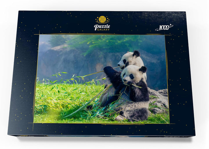 Mutter Panda und Ihr Baby Panda beim Bambus Essen - Premium 1000 Teile Puzzle - MyPuzzle Sonderkolle