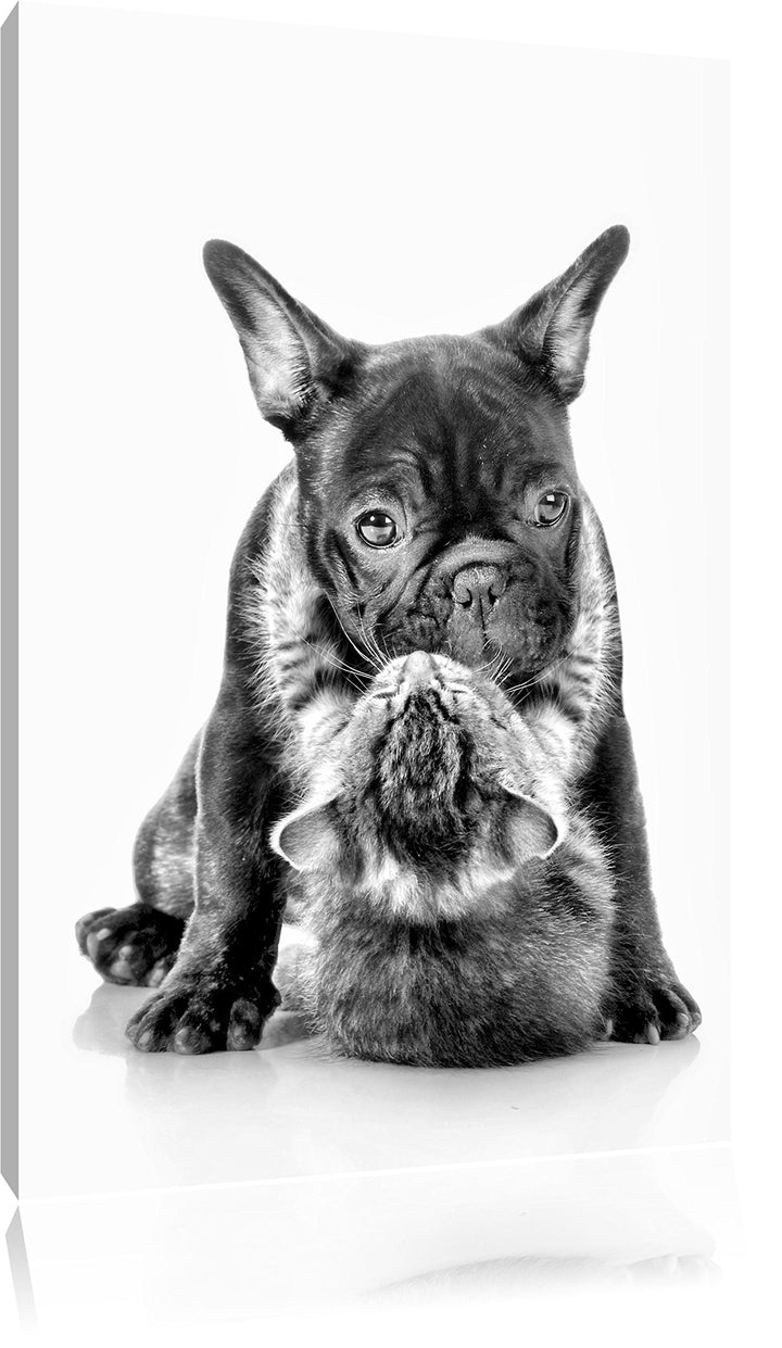 Pixxprint Monocrome, Katze und Mobs Freunde fürs Leben, Format: 100x70 auf Leinwand, 100x70