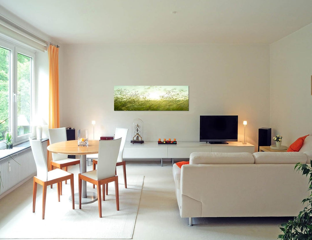 Paul Sinus Art Panoramabild auf Leinwand und Keilrahmen 150x50cm Wiese Gräser Sommer Sonnenuntergang