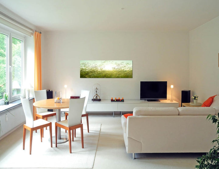 Paul Sinus Art Panoramabild auf Leinwand und Keilrahmen 150x50cm Wiese Gräser Sommer Sonnenuntergang