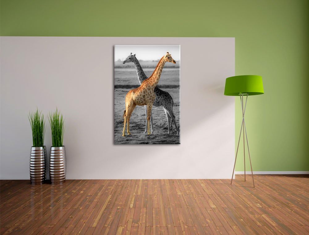 schöne Giraffen in der Steppe schwarz/weiss Format: 100x70 auf Leinwand, XXL riesige Bilder fertig g