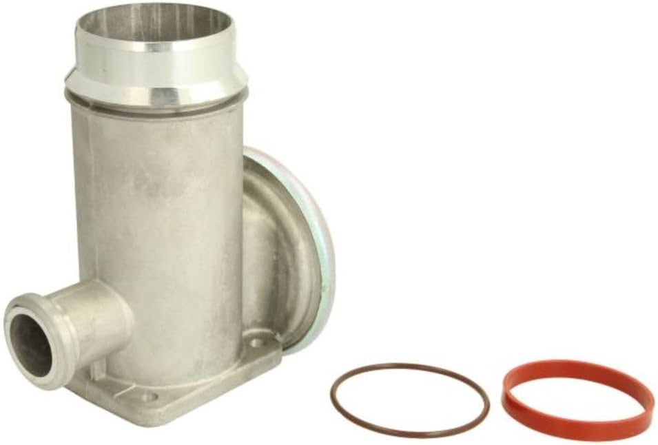 Delphi EG10466-12B1 - AGR-Ventil
