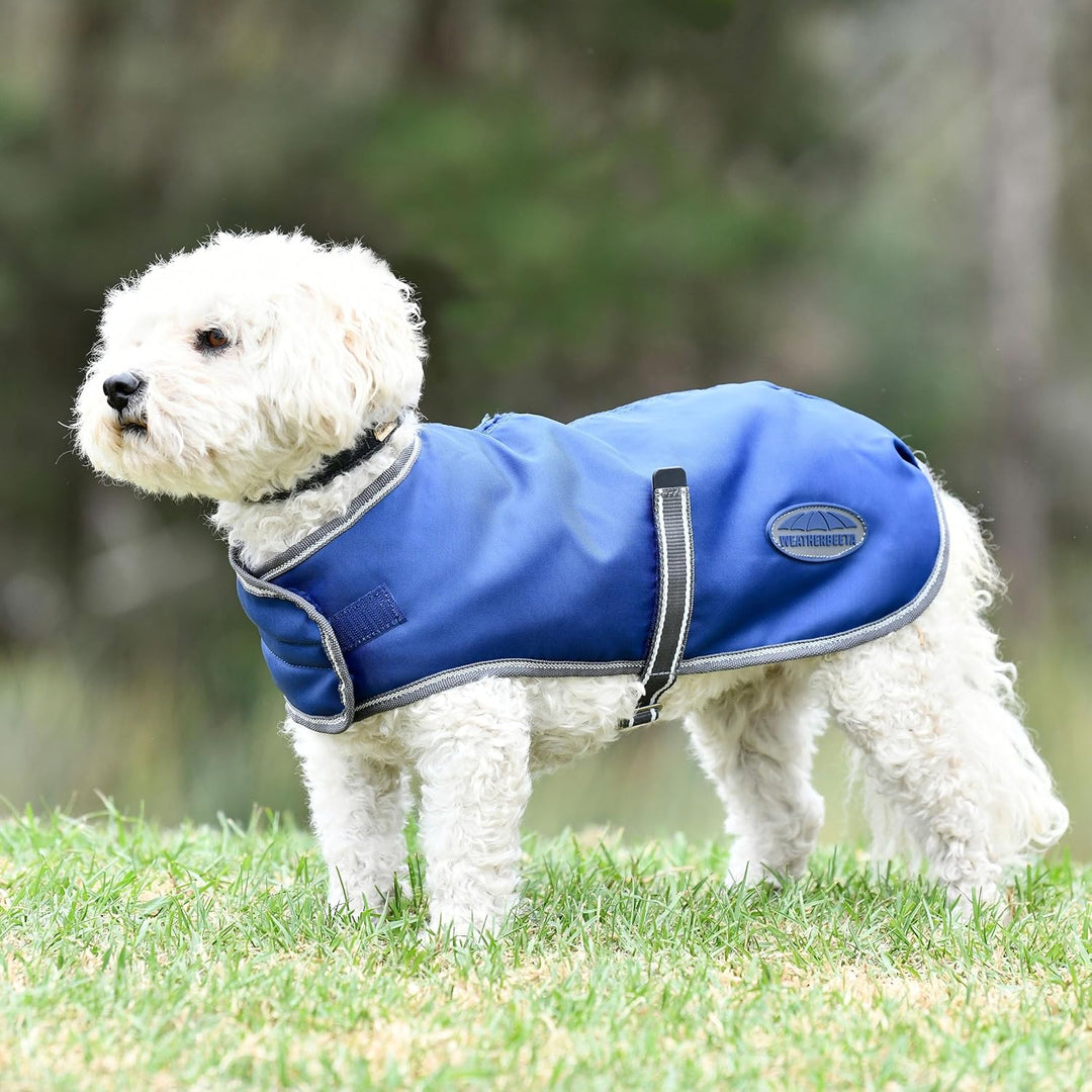 Weatherbeeta Comfitec Windjacke Frei Hundemantel - Dunkelblau/Weiss/Grau 30 cm Dunkelblau/Grau/Weiss