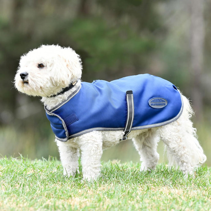 Weatherbeeta Comfitec Windjacke Frei Hundemantel - Dunkelblau/Weiss/Grau 30 cm Dunkelblau/Grau/Weiss