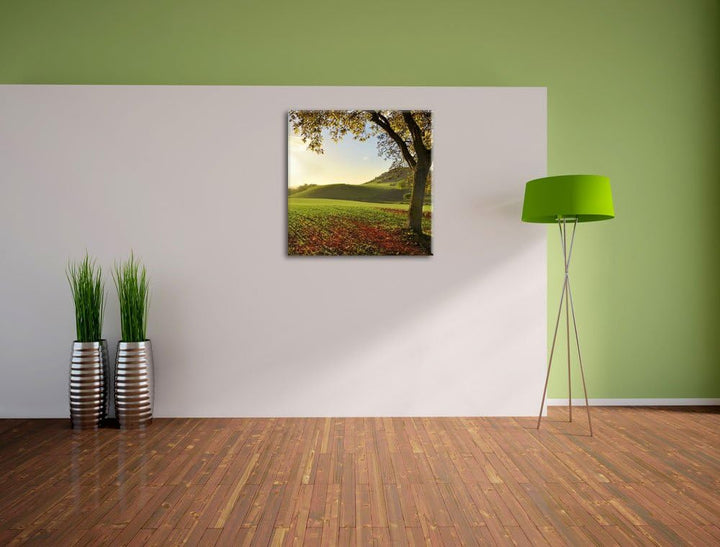 Landschaft im Herbst, Format: 70x70 auf Leinwand, XXL riesige Bilder fertig gerahmt mit Keilrahmen,