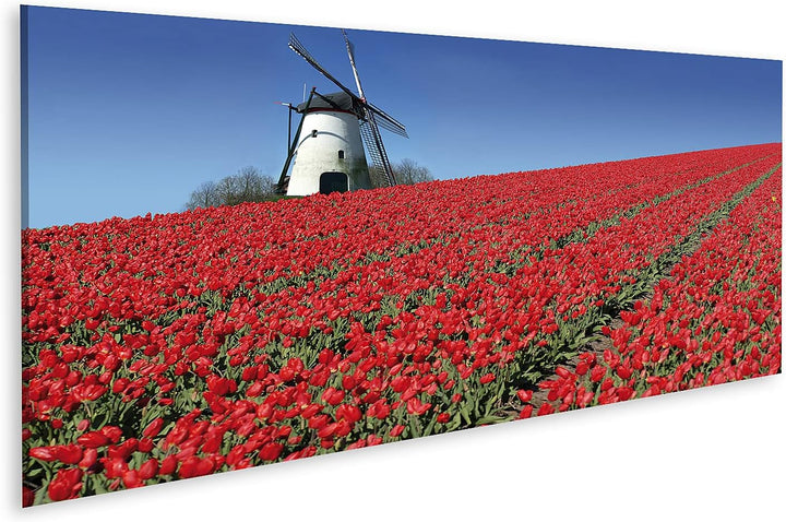 islandburner Bild auf Leinwand Holländische Mühle Rote Tulpen Bilder Wandbilder Poster AEBV-Pano Lei