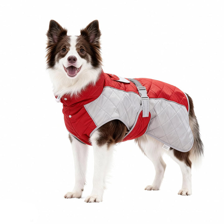 Hundemantel mit, Winddicht und wasserdicht, verdickter Kragen für Windschutz, verstellbare Schnalle,