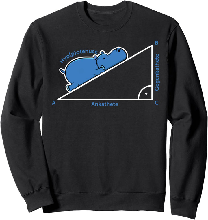 Hyppotenuse Mathematik Ankathete Gegenkathete Abi Hippo Sweatshirt