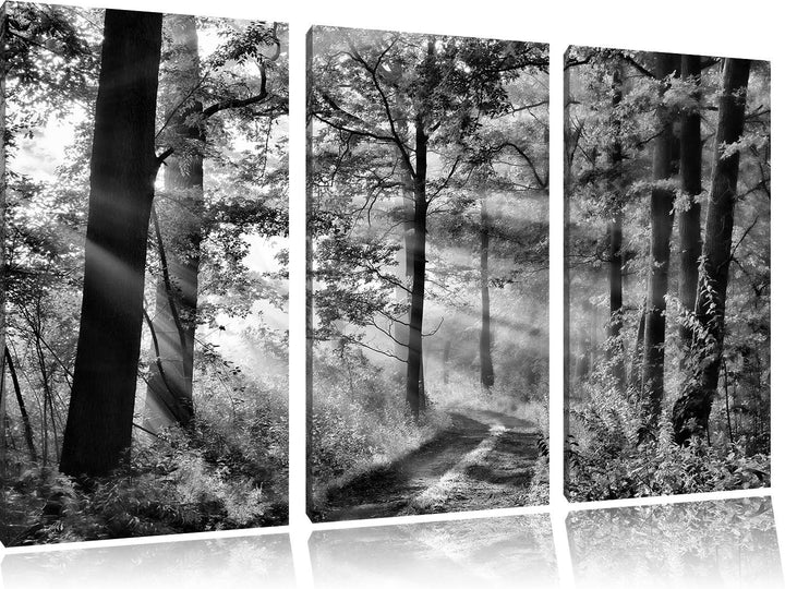 Pixxprint Monocrome, Waldweg im Winter 3-Teiler Leinwandbild 120x80 Bild auf Leinwand