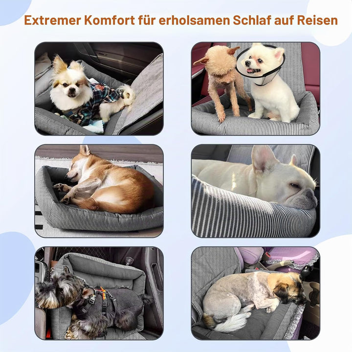 Hundeautositze für kleine Hunde, abnehmbarer Hundesitz mit weichem Baumwollkissen, Komfort-Haustier-