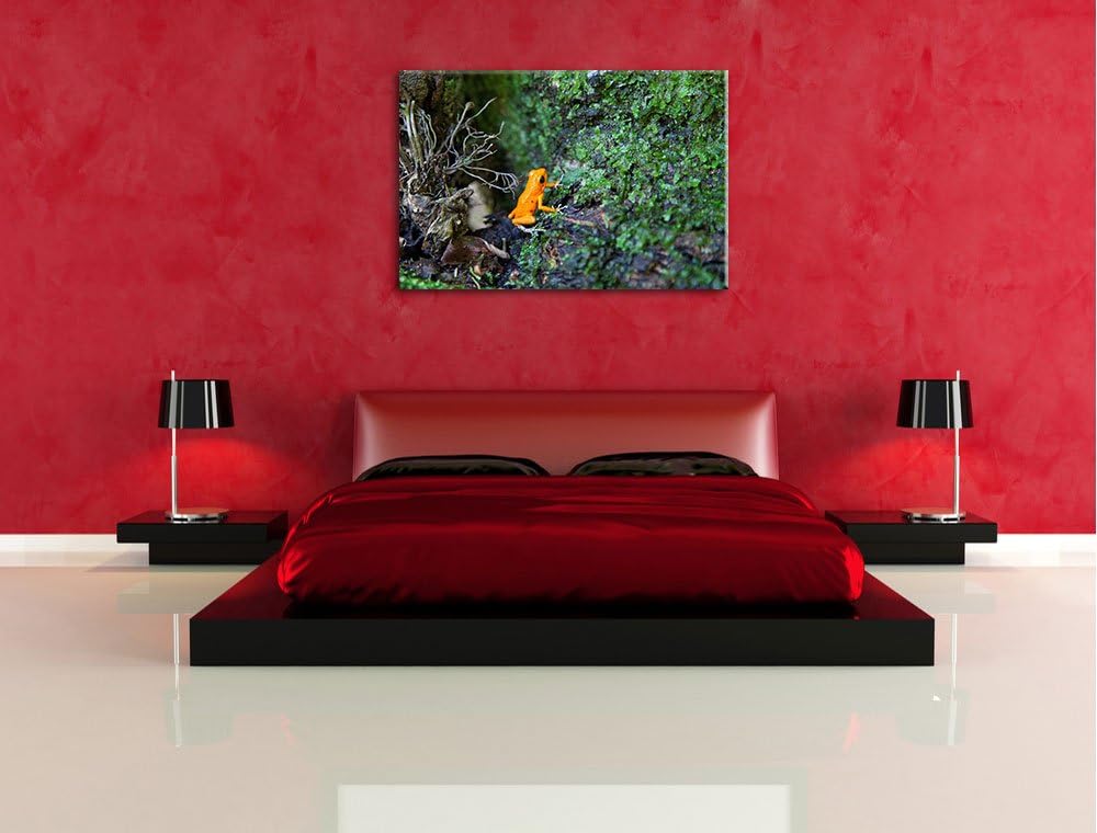 hochgiftiger kleiner Frosch Leinwand, XXL riesige Bilder fertig gerahmt mit Keilrahmen, Kunstdruck a