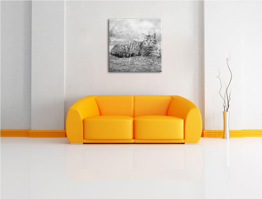 Pixxprint ruhende Katze auf Waldboden schwarz/weiss, Format: 70x70 auf Leinwand, 70x70