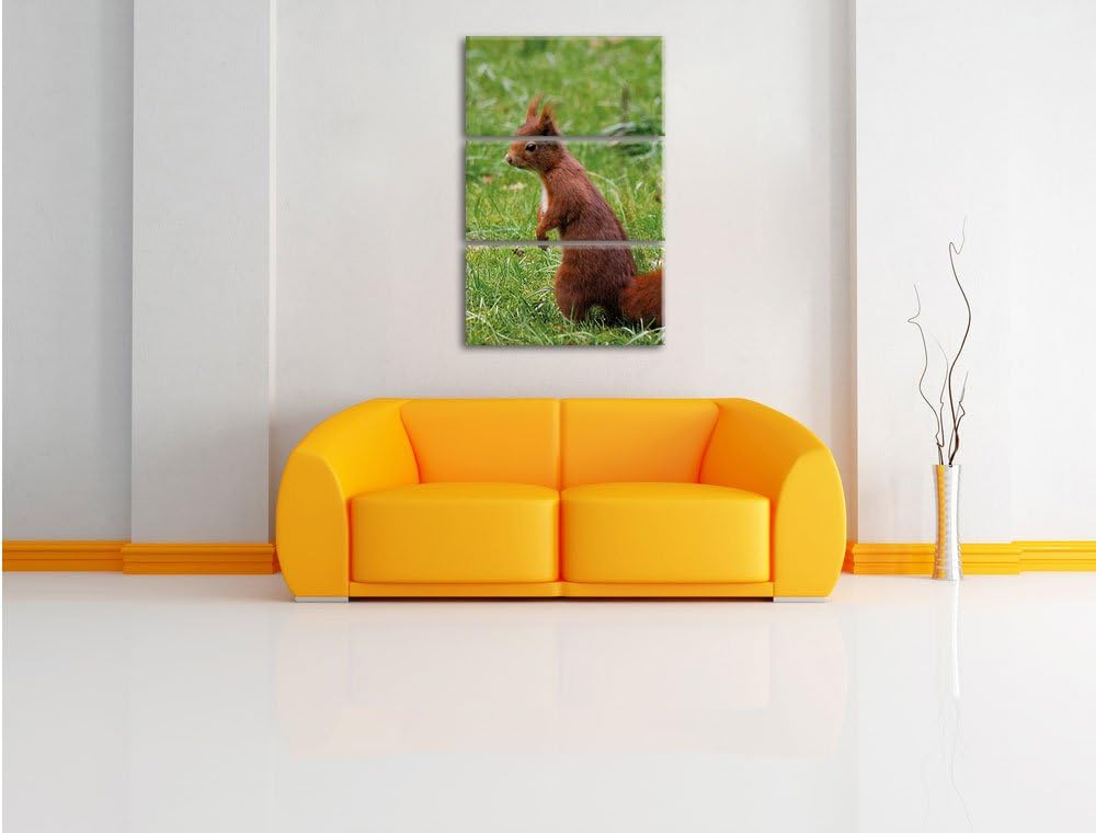 Pixxprint Eichhörnchen als Leinwandbild/Grösse: 3 Teilig (120x80) cm/Wandbild/Kunstdruck/fertig besp