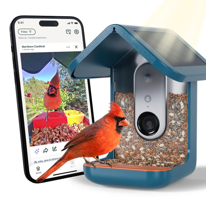 Birdbuddy PRO Solar Smart Bird Feeder mit Kamera – KI-Vogelartenidentifizierung, 5-MP-Fotos, 2K-HD-V