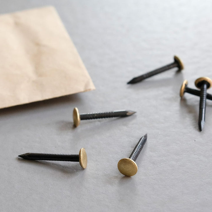 TOX Bildernagel Set Home Classic aus gehärtetem Stahl mit Messingkopf in Retro-Papierverpackung, ⌀ 2