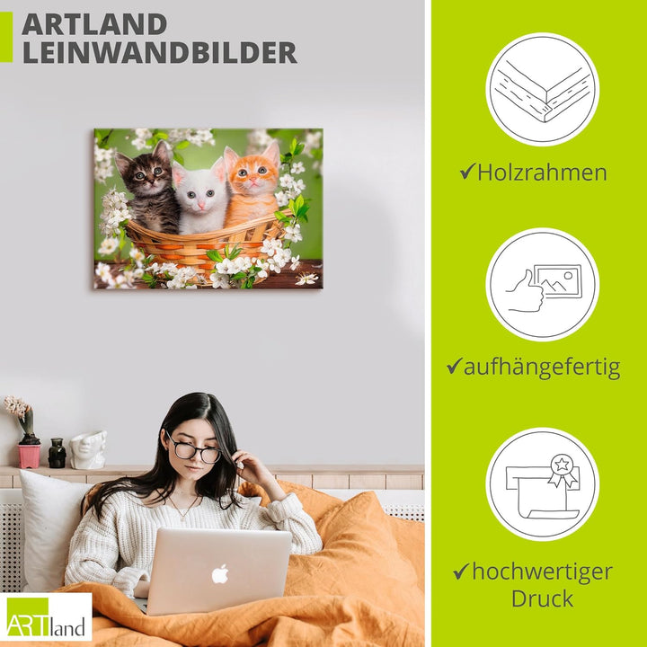 Artland Leinwandbild Wandbild Bild auf Leinwand 70x50 cm Wanddeko Katze Tiere Katzenbaby Baby Landha