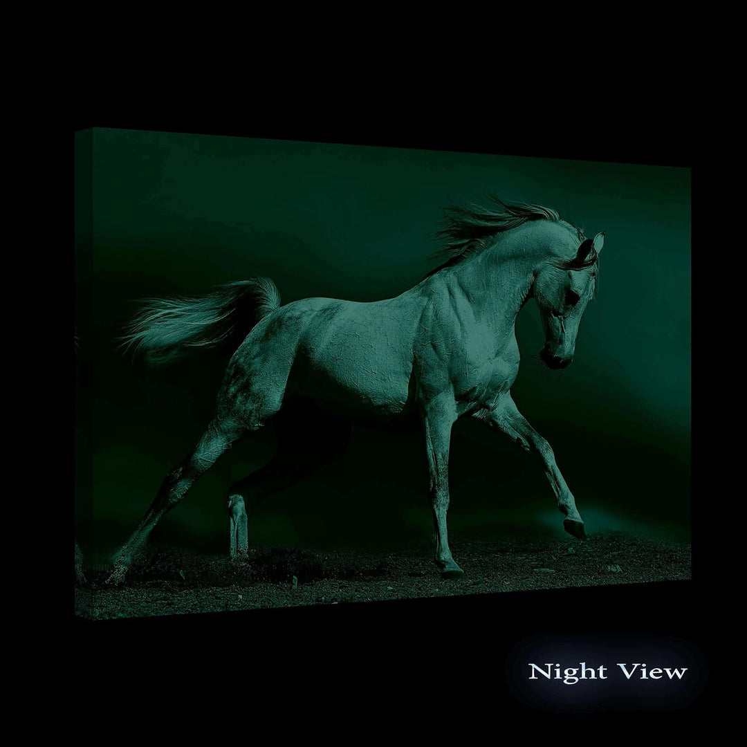 Startonight Bilder Arabisches Pferd, Leinwandbilder Moderne Kunst, Tiere Wanddeko Kunstdrucke, Wandb