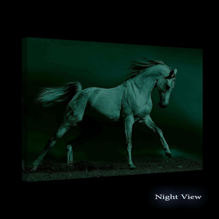 Startonight Bilder Arabisches Pferd, Leinwandbilder Moderne Kunst, Tiere Wanddeko Kunstdrucke, Wandb