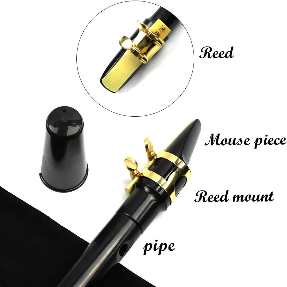 FOVERN1 Taschen-Saxophon-Set, Mini-Saxophon, tragbares Holzblasinstrument, professionelle Instrument