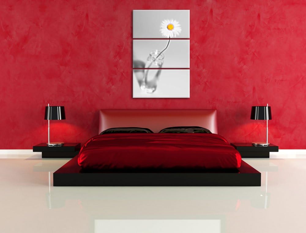 zartes Gänseblümchen im stilvollen Glas schwarz/weiss Deluxe 3-Teiler Leinwandbild 120x80 Bild auf L