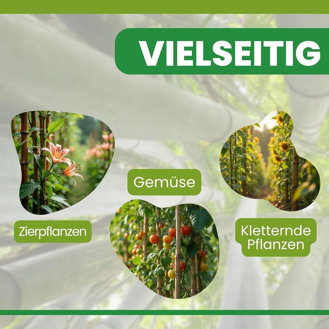 PLANTAWA Bambusstäbe 90 cm Packung mit 25 Stück Ø 10-12 mm | Pflanzstab Bambusstab Gemüse, Tomaten u