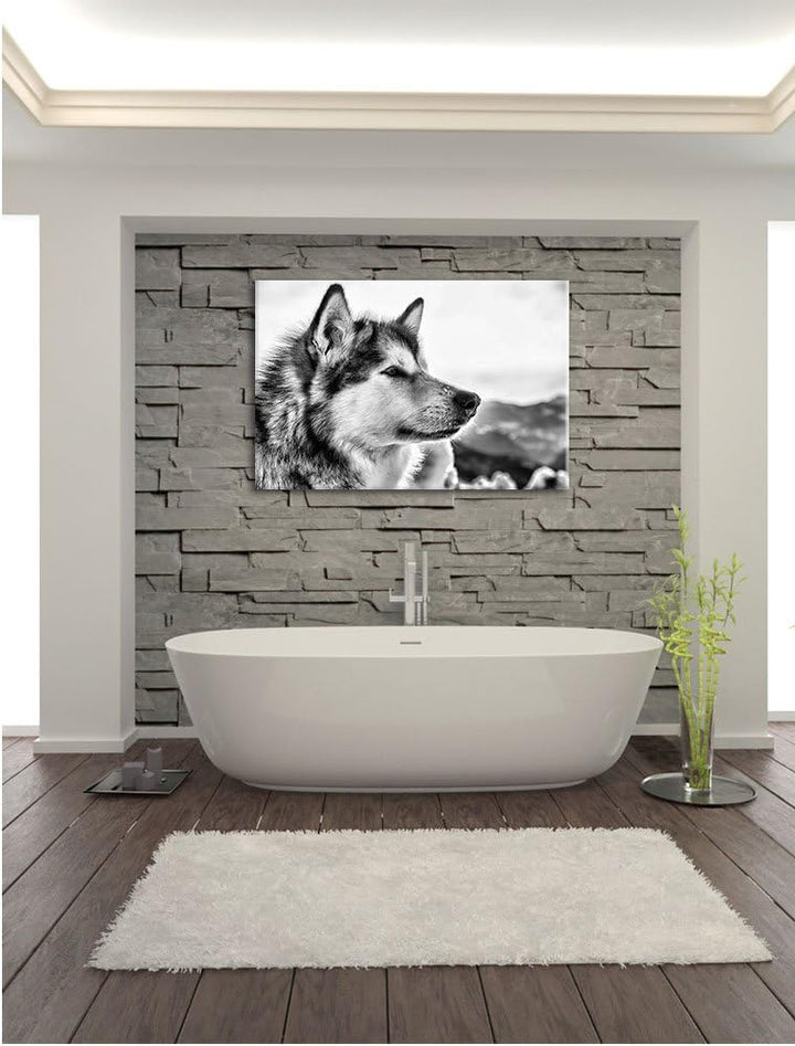 Pixxprint Süsser Husky im Schnee als Leinwandbild/Grösse: 100x70 cm/Wandbild/Kunstdruck/fertig bespa