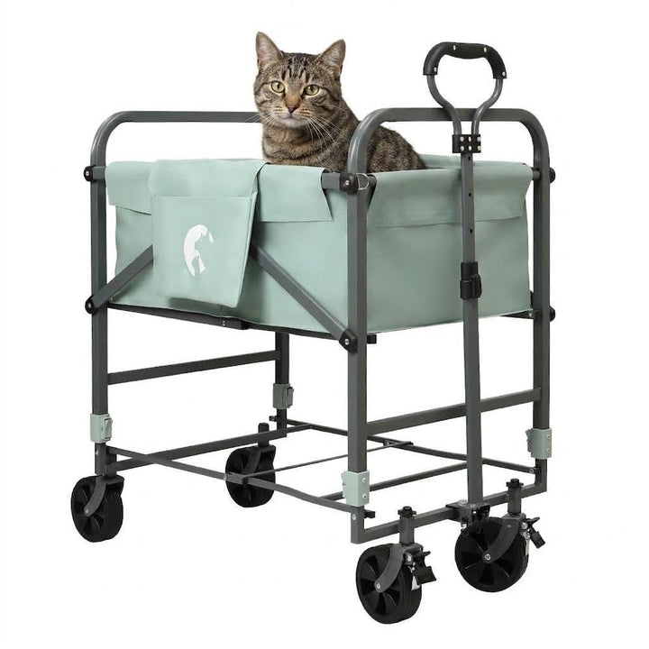 IDEALHOUSE Hundebadewanne, Faltbare & Erhöhte Haustierbadewanne Mit Abfluss & 3-Punkt-Gurt, Für Klei