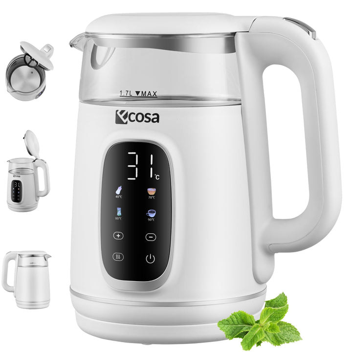 Ecosa® Wasserkocher mit Temperatureinstellung Glas Edelstahl - Teekocher - 1,7 Liter 2.200 Watt - BP