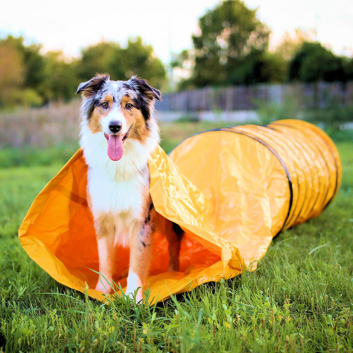 Agility Profi Sack-Tunnel für Hunde - Hundetunnel 60x300cm Spieltunnel Agilitytunnel Hundehöhle ST