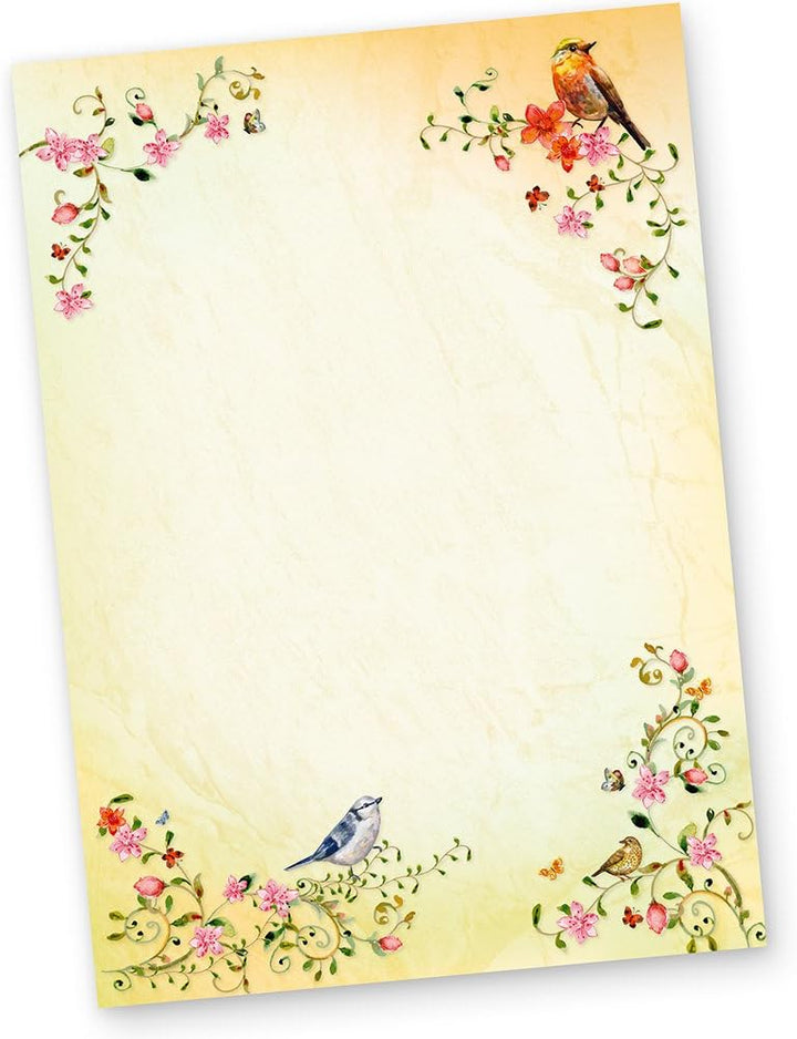 TOSKANA Briefpapier mit Umschlag Set Blumen und Vögel 100 Sets Motivpapier Schreibpapier bunt A4 Fra