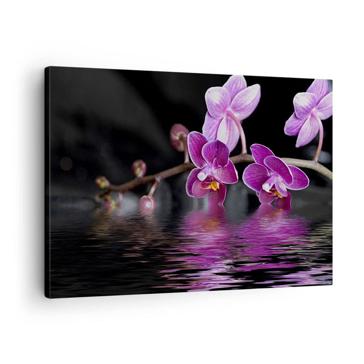 Bilder auf Leinwand Asien exotisch orchidee blume Leinwandbild 70x50cm Wandbilder Dekoration Wohnzim