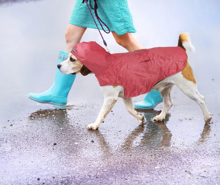 Idepet Regenmantel für Hunde mit Kragenloch Wasserdicht Reflektierend Winddicht Poncho Regenjacke mi