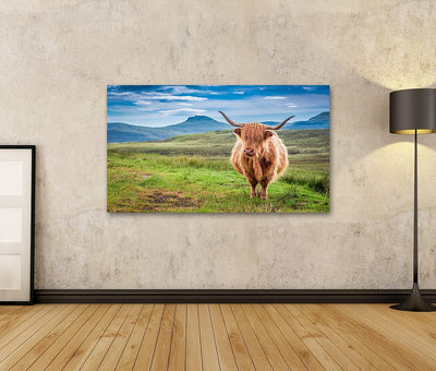 Bild auf Leinwand Weiden Lassen Hochlandkuh In Isle of Skye Schottland Wandbild Poster Kunstdruck Bi