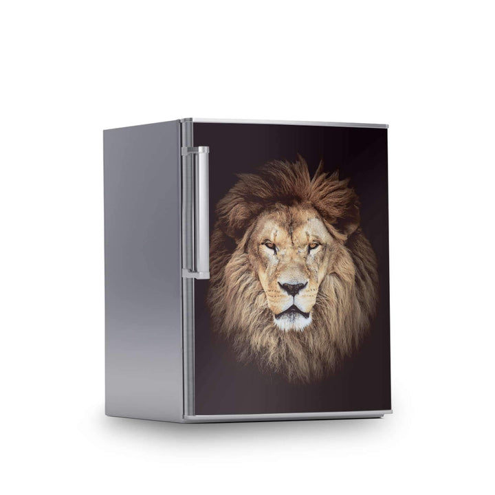 Kühlschrank Folie I Dekofolie für Kühlschranktür - Sticker Folie selbstklebend I Dekoration Küche -