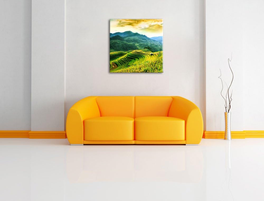 Reisfelder in Vietnam, Format: 70x70 auf Leinwand, XXL riesige Bilder fertig gerahmt mit Keilrahmen,