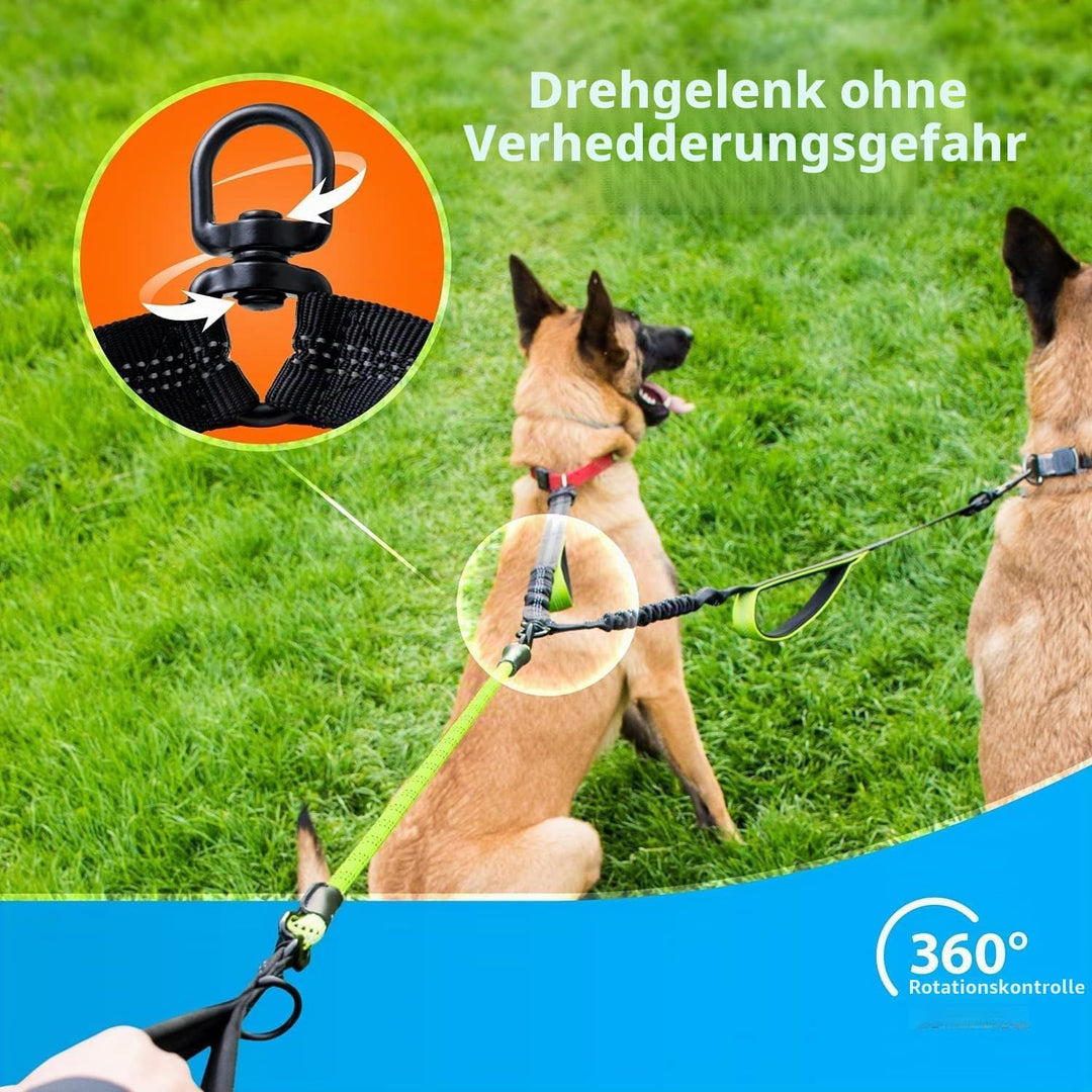 Hundeleine für 2 Hunde mit Bungee Verlängerung für Grosse und Mittelgrosse Hunde mit Ruckdämpfer | R