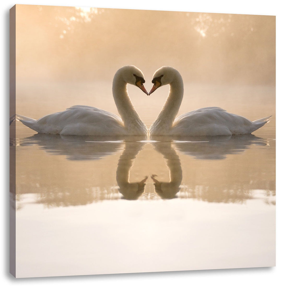 Pixxprint Schwäne im Morgengrauen / 70x70cm Leinwandbild bespannt auf Holzrahmen/Wandbild Kunstdruck