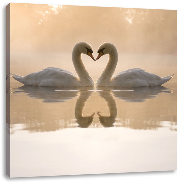 Pixxprint Schwäne im Morgengrauen / 70x70cm Leinwandbild bespannt auf Holzrahmen/Wandbild Kunstdruck