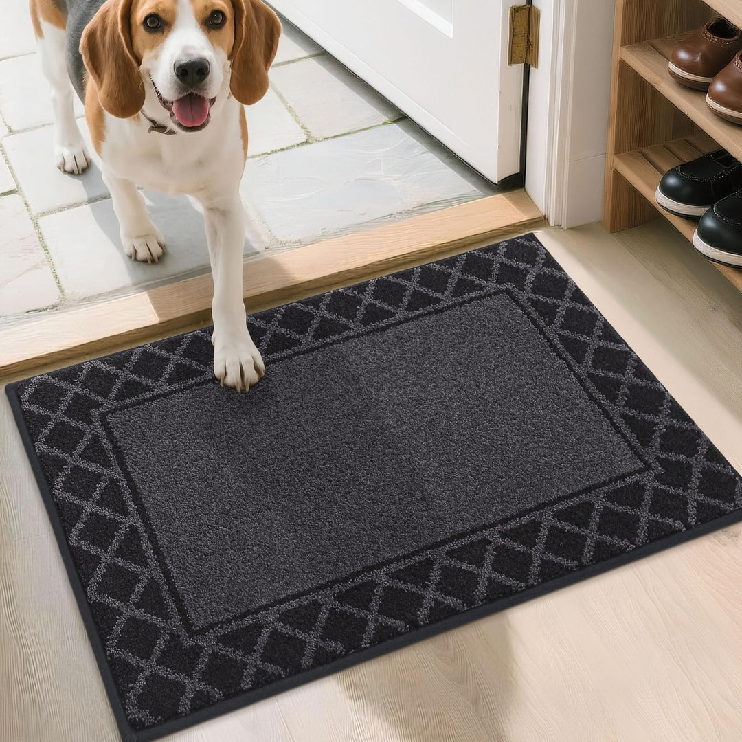 BEQHAUSE Fussabtreter Innen, 50 * 80 cm Fussmatte, Schmutzfangmatte Waschbar, TPR rutschfest Fussabt