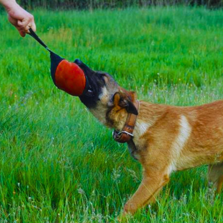Dingo Gear Trainings-Spielzeug Nylcott French Material Training Spiel Apport IGP K9 Obedience Apport