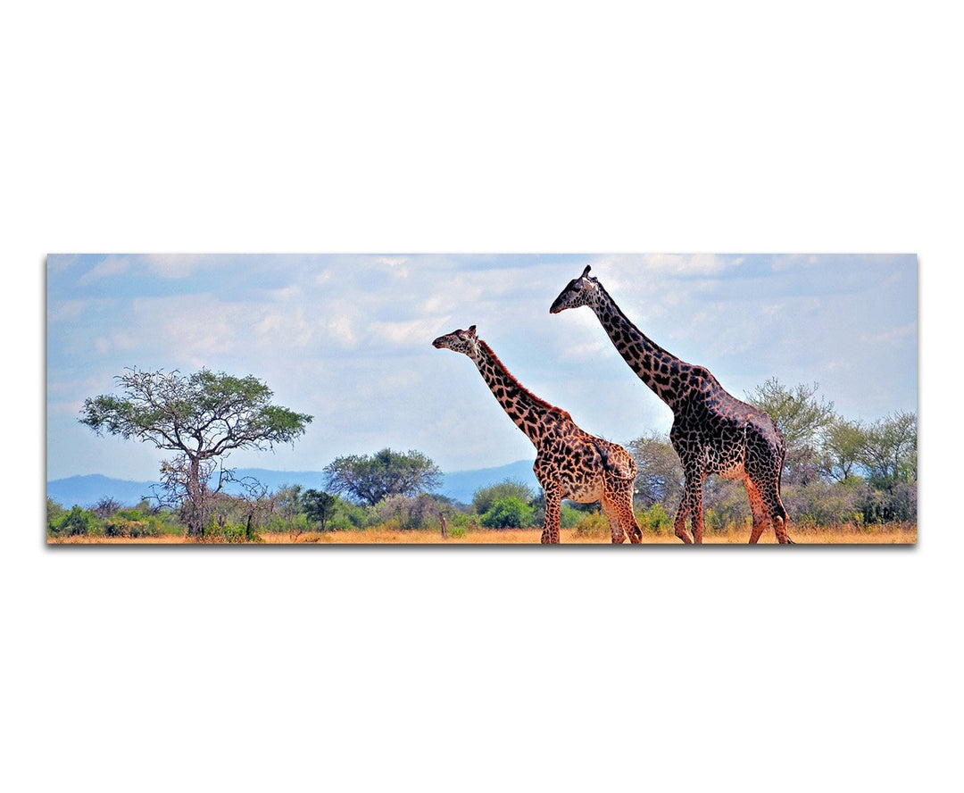 Paul Sinus Art Panoramabild auf Leinwand und Keilrahmen 150x50cm Afrika Elefant Grossaufnahme